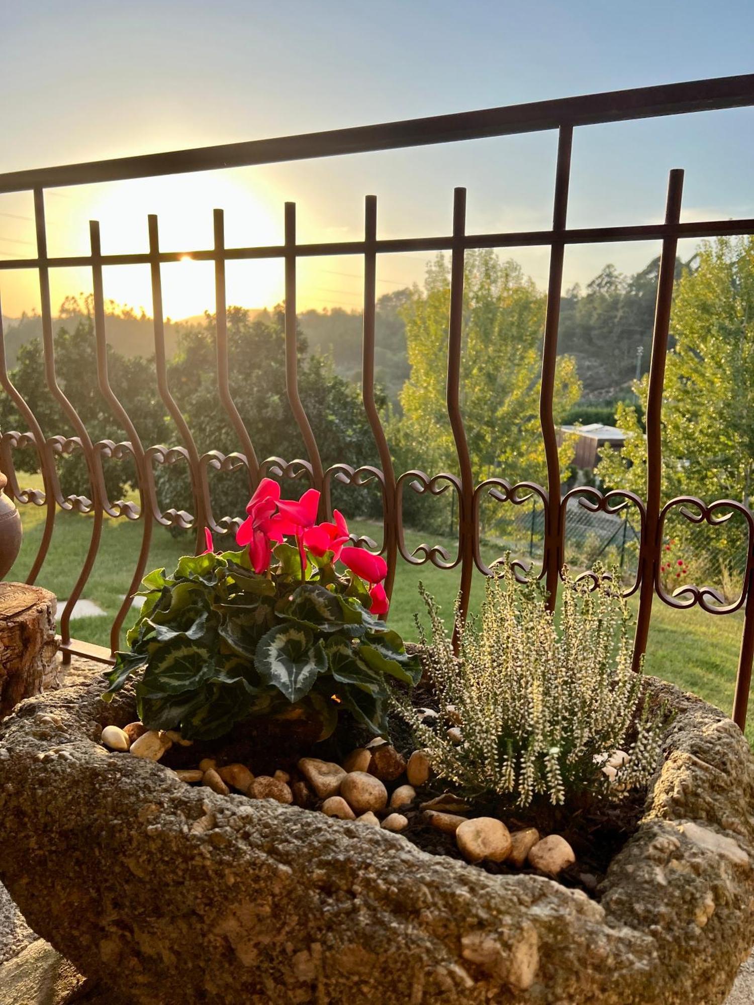 Quinta De Villasete Alpendurada Екстер'єр фото