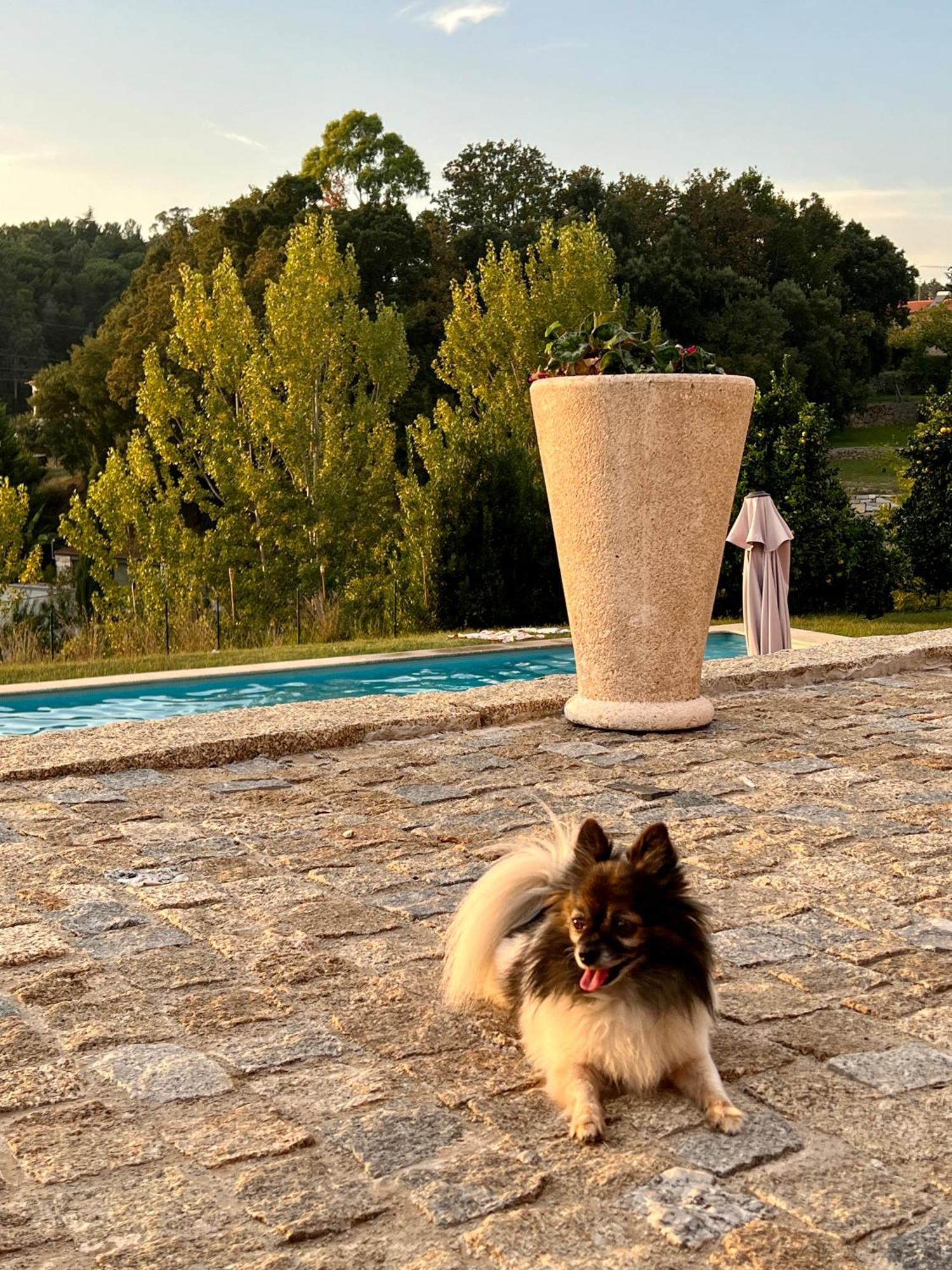 Quinta De Villasete Alpendurada Екстер'єр фото