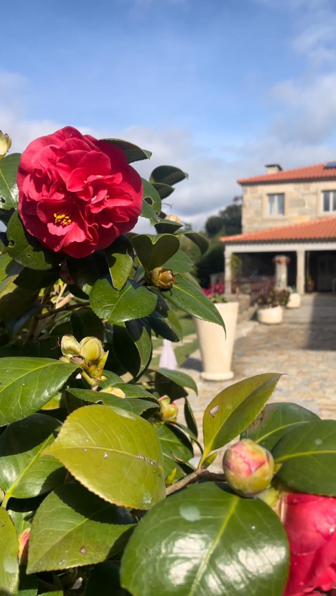 Quinta De Villasete Alpendurada Екстер'єр фото