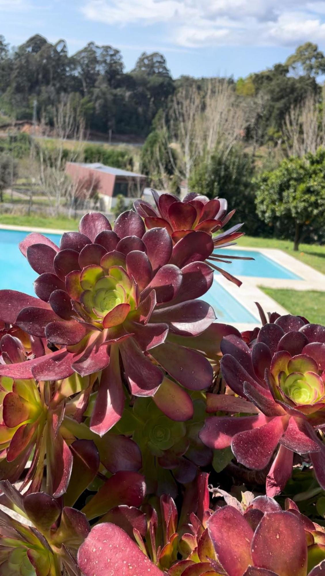 Quinta De Villasete Alpendurada Екстер'єр фото