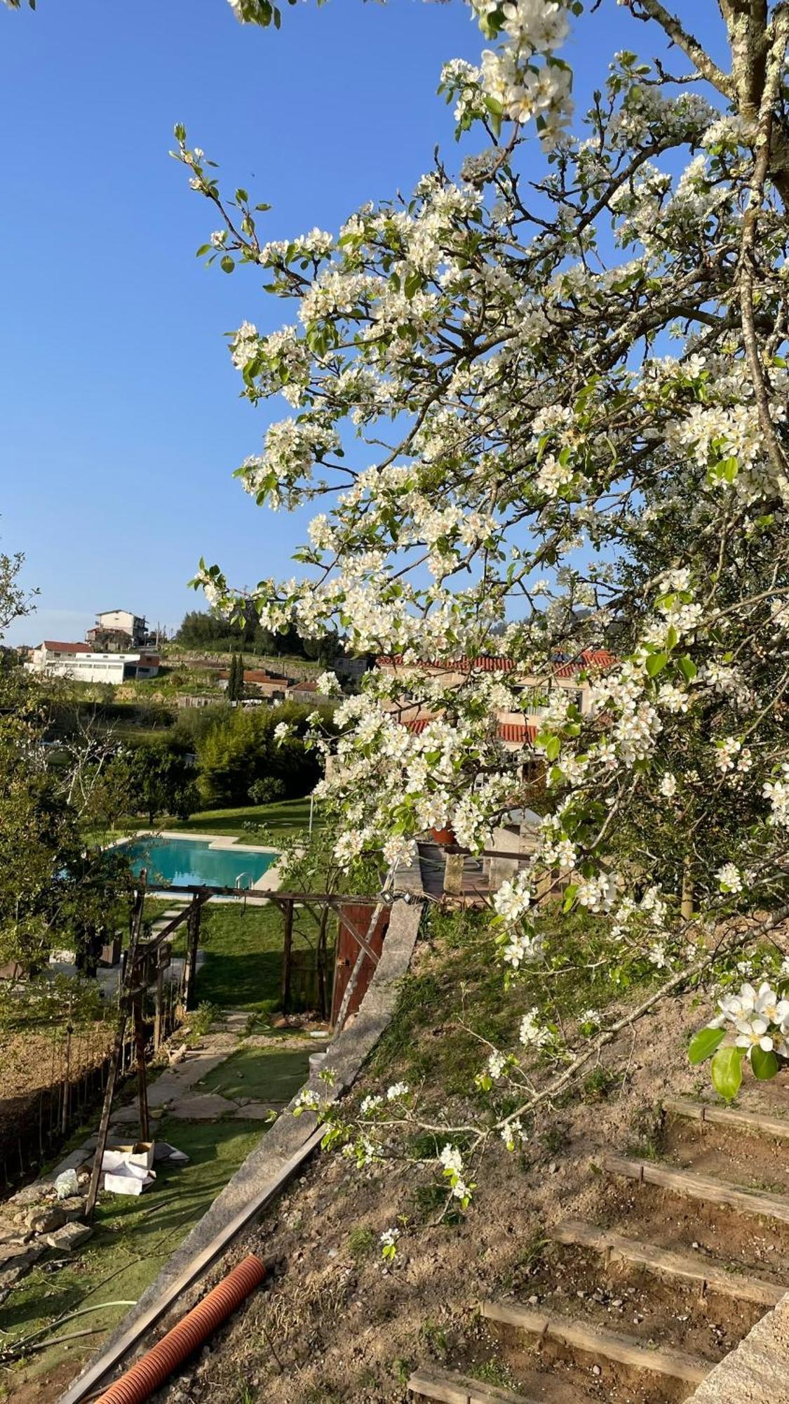 Quinta De Villasete Alpendurada Екстер'єр фото