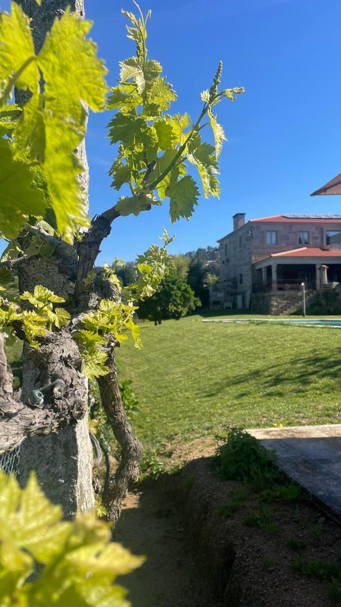 Quinta De Villasete Alpendurada Екстер'єр фото