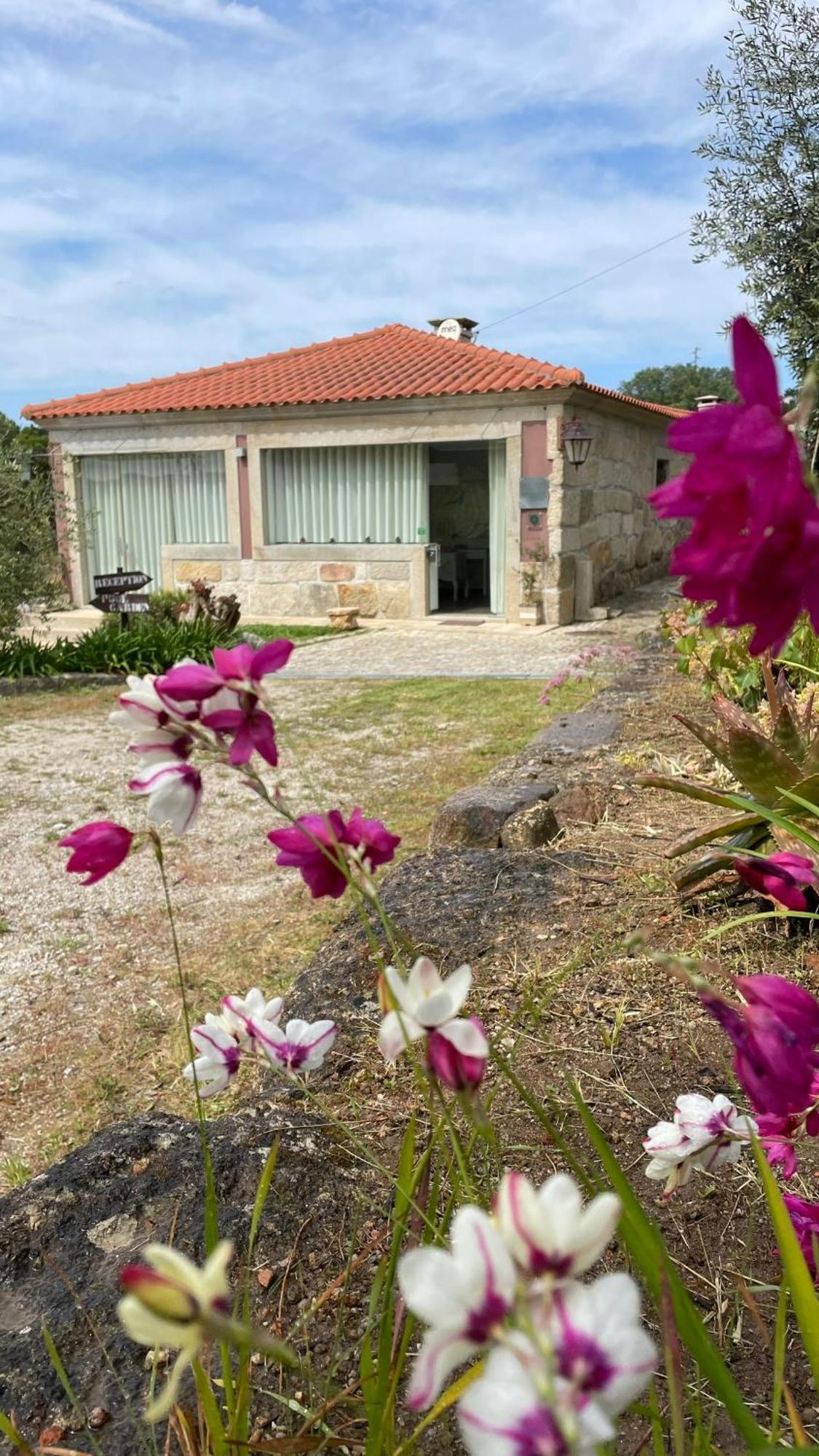 Quinta De Villasete Alpendurada Екстер'єр фото