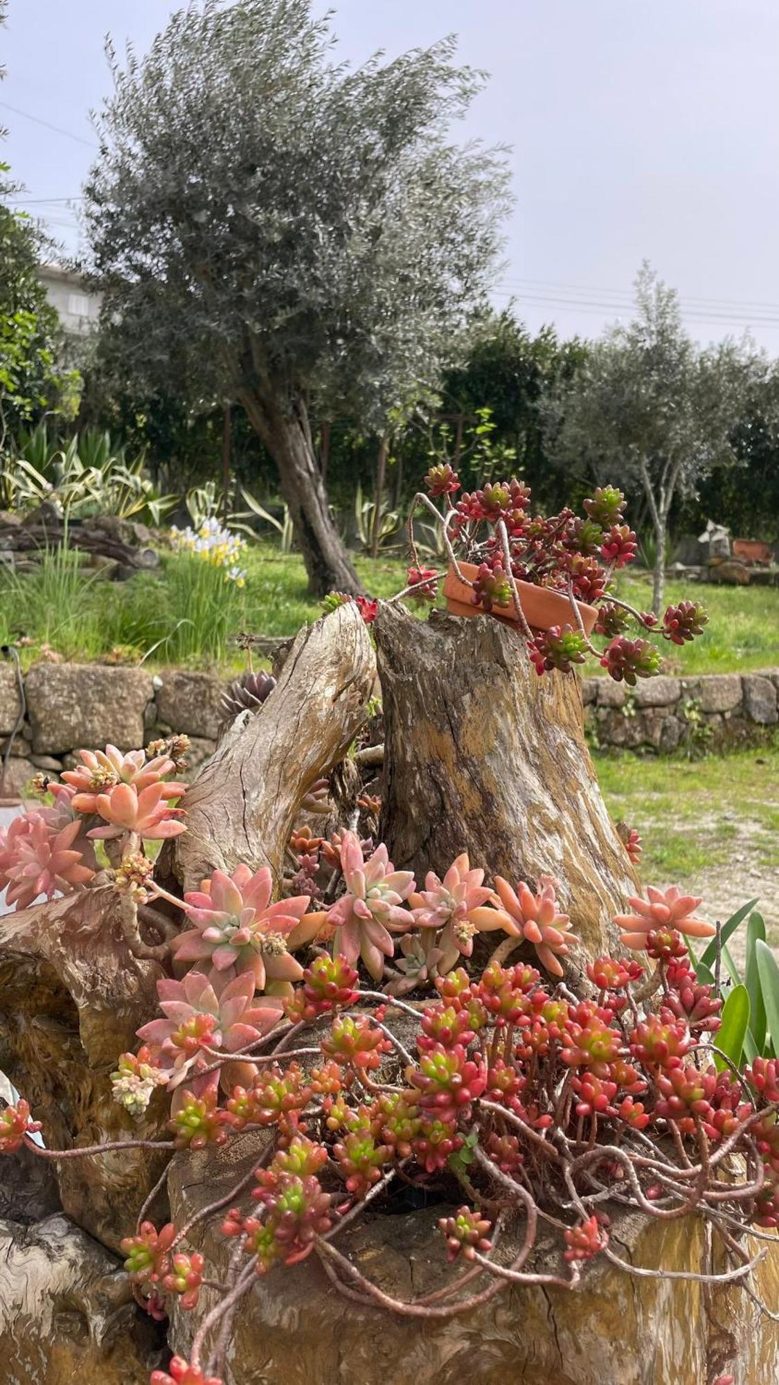Quinta De Villasete Alpendurada Екстер'єр фото