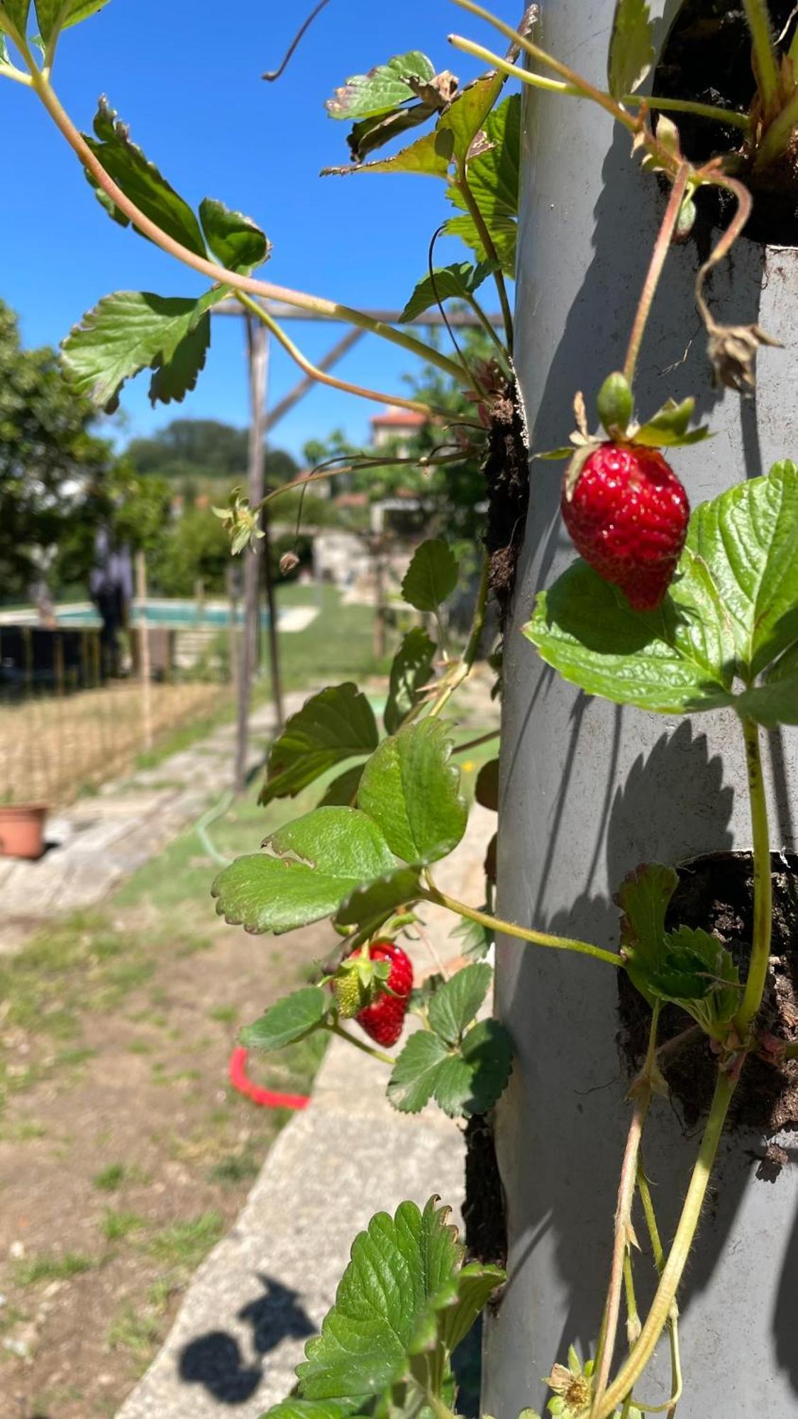 Quinta De Villasete Alpendurada Екстер'єр фото