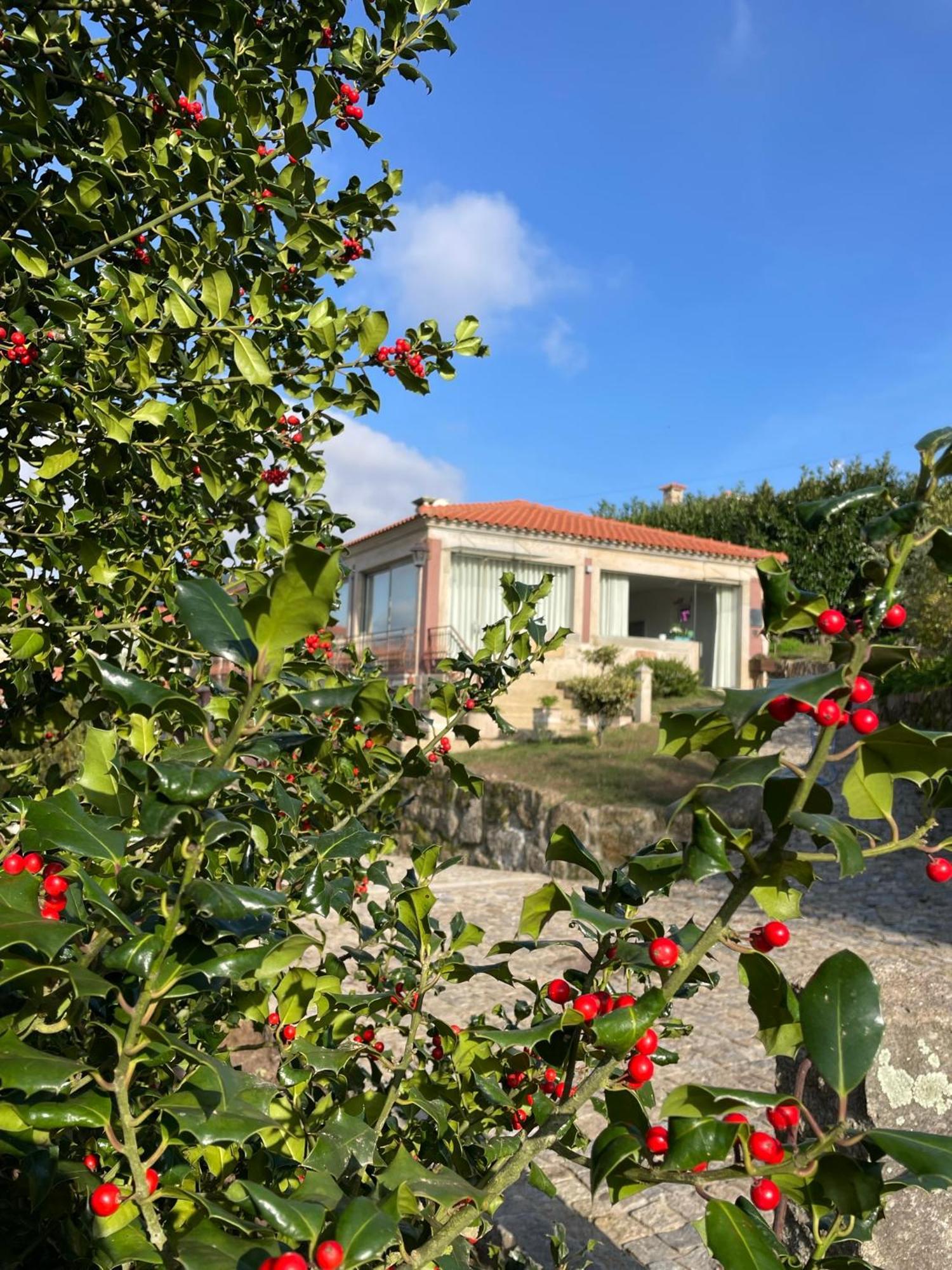Quinta De Villasete Alpendurada Екстер'єр фото