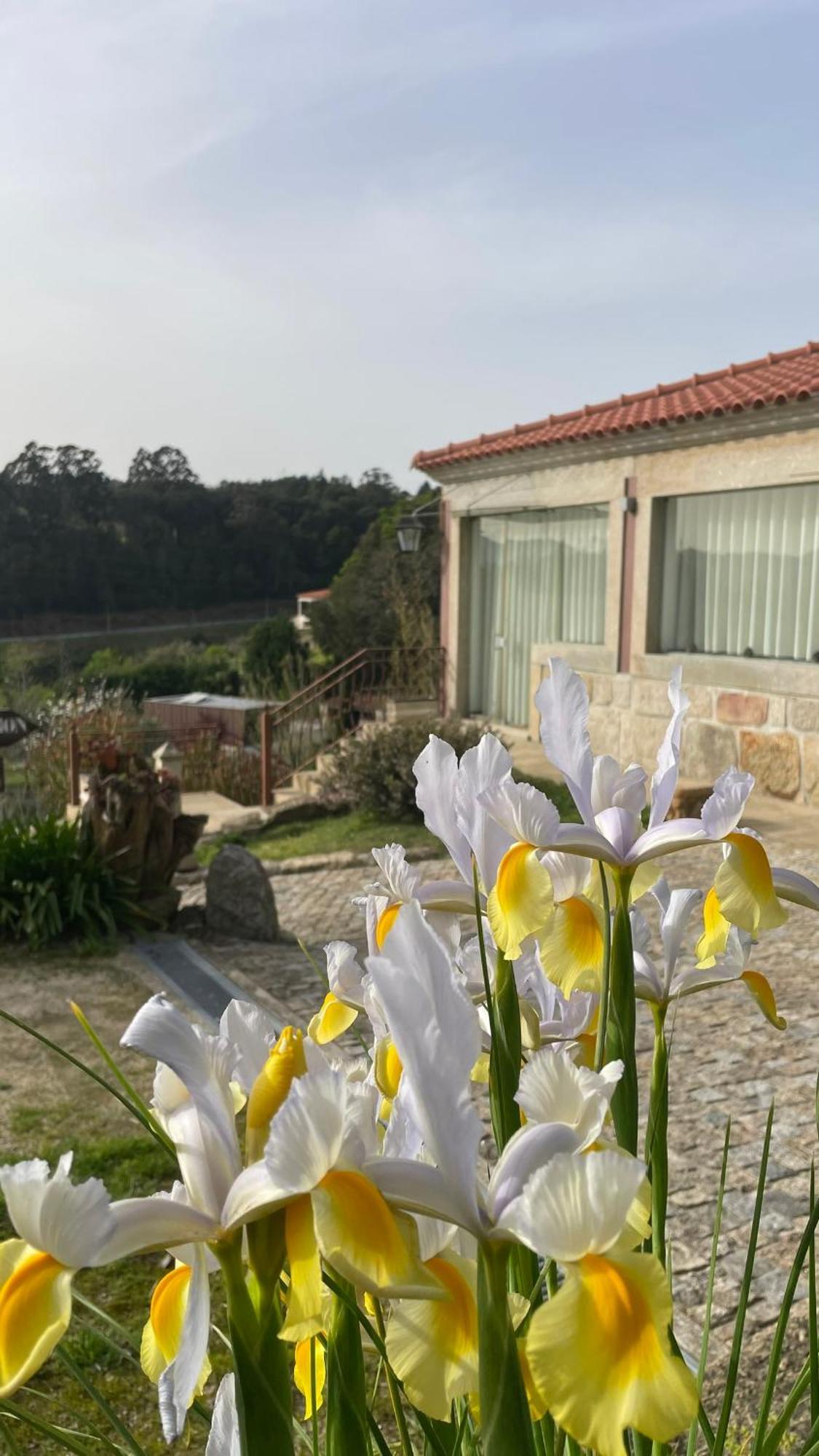 Quinta De Villasete Alpendurada Екстер'єр фото